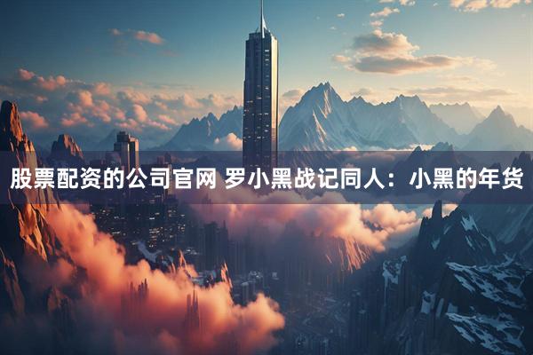 股票配资的公司官网 罗小黑战记同人：小黑的年货